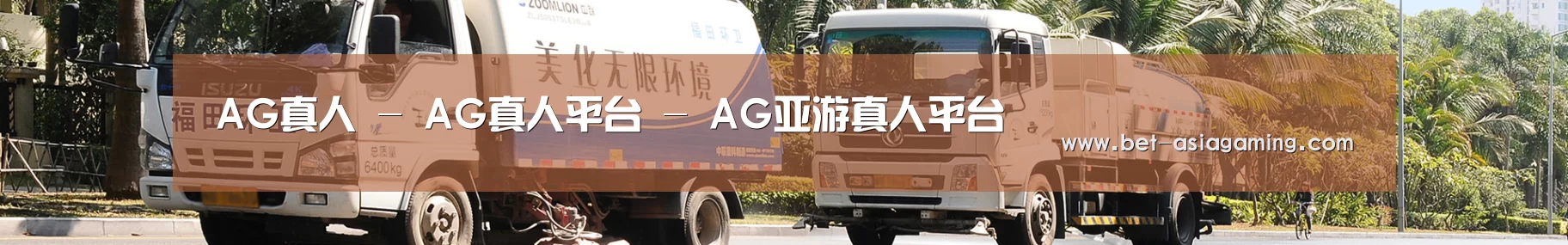成功案例