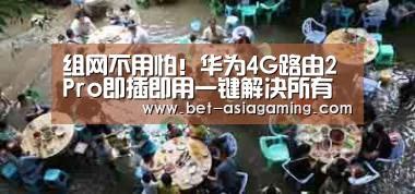 AG真人娱乐平台