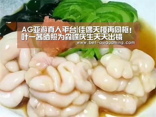 AG亚游真人平台
